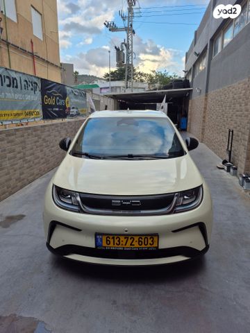 מודעת רכב בי.ווי.די דולפין