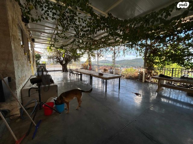 בית פרטי/ קוטג', הכלנית 1, זכריה, זכריה