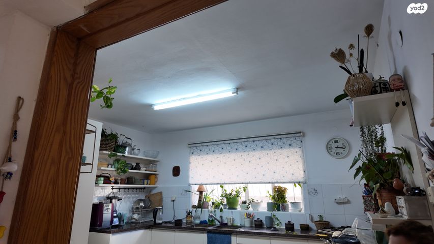 הנשיא שז"ר 19