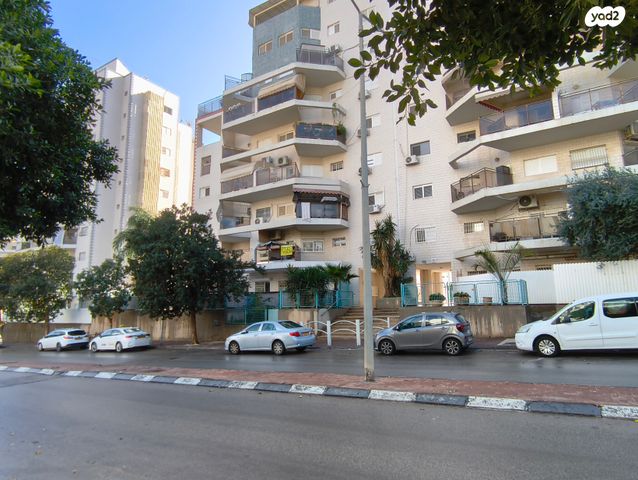 דוד אלעזר 15