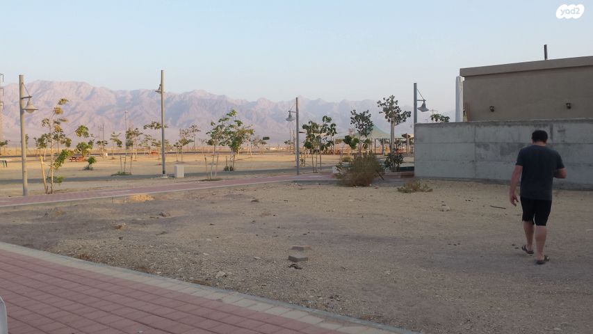 סמטת רותם המדבר 4