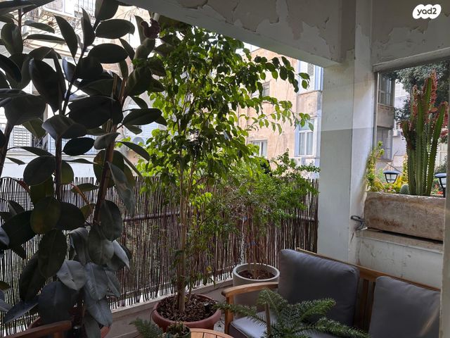 עמנואל הרומי 6