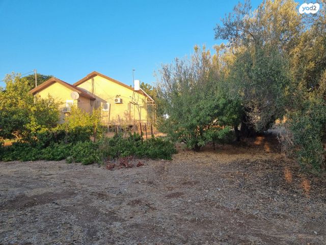 משק חקלאי/ נחלה, גפן, גפן, גפן