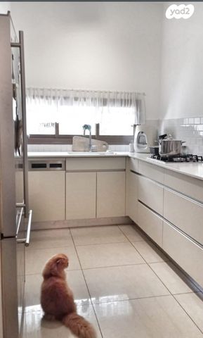 דירה, המניין הראשון 16, מרכז מערבי, נס ציונה