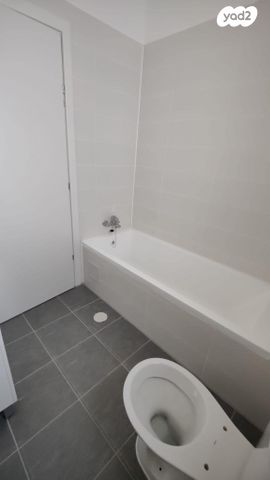 רועי קליין 2