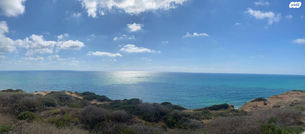 שדרות עובד בן עמי 100