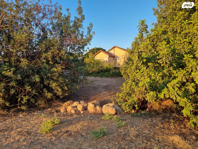 משק חקלאי/ נחלה, גפן, גפן, גפן