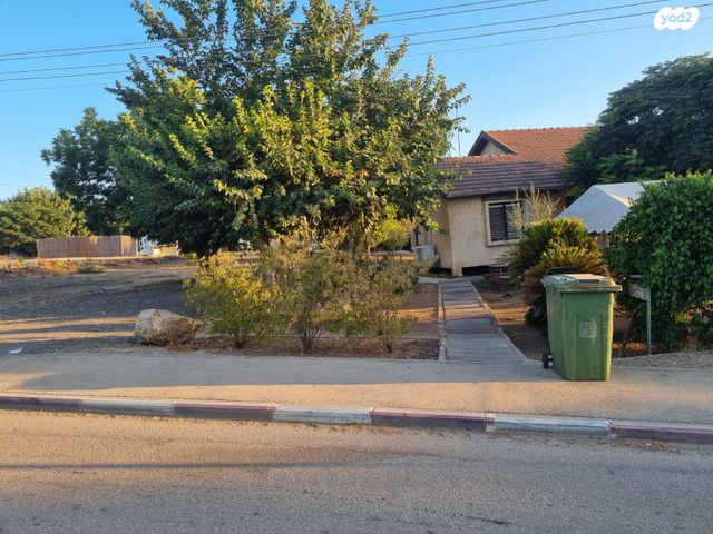 משק חקלאי/ נחלה, גפן, גפן, גפן