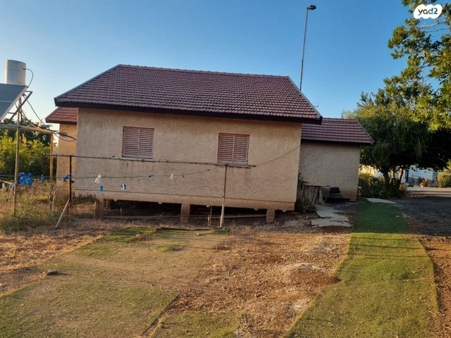 משק חקלאי/ נחלה, גפן, גפן, גפן