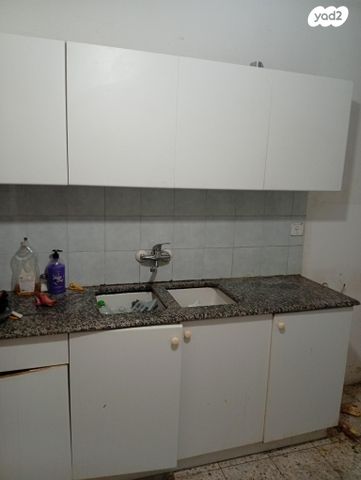 ארתור רופין 3