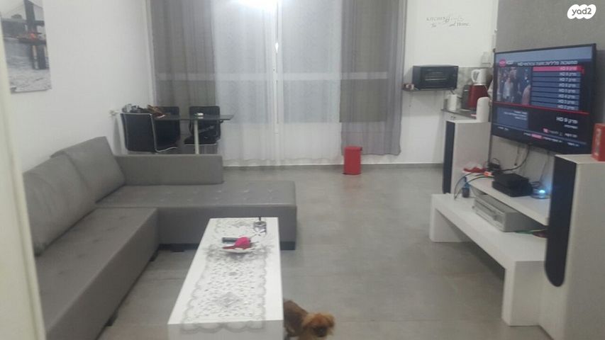 יעקב קינמון 8