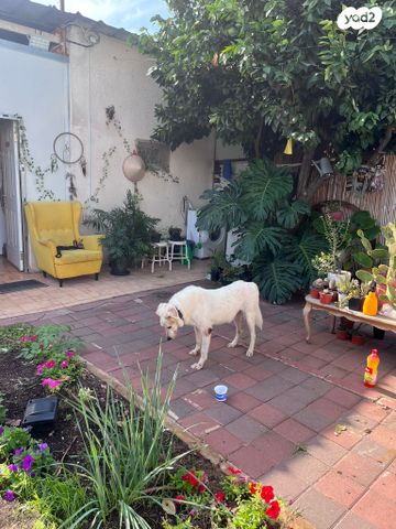 דירת גן, רבנו תם 4, שיכוני המזרח, ראשון לציון