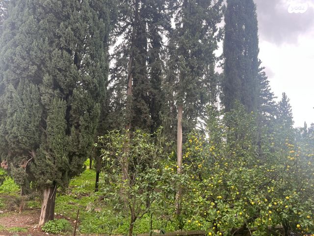 דירת גן, יצחק שדה 54, קרית עמל, קרית טבעון