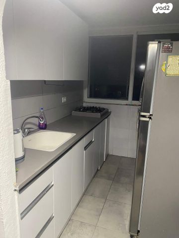 דוד אלעזר 11