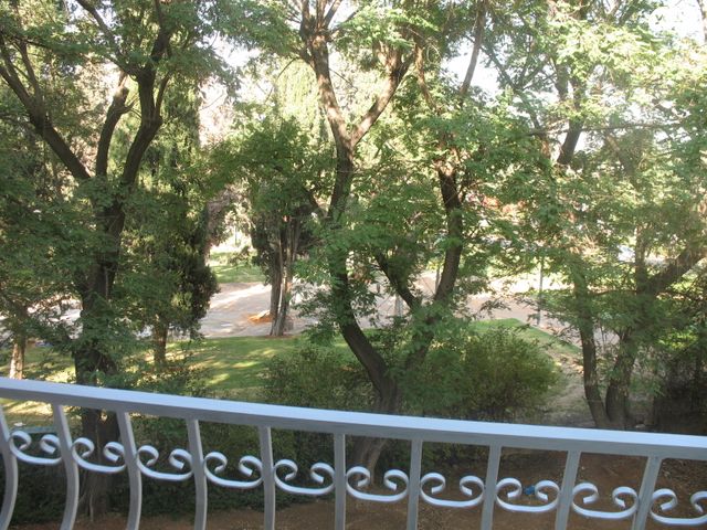 לאה גולדברג 5