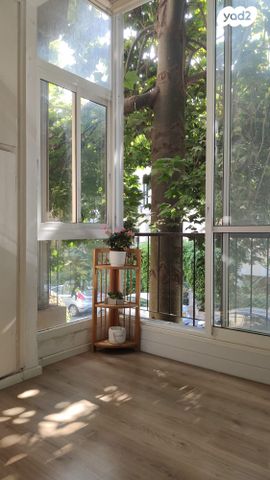 יונתן הופסי 3