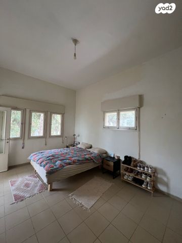 דוד פינסקי 11