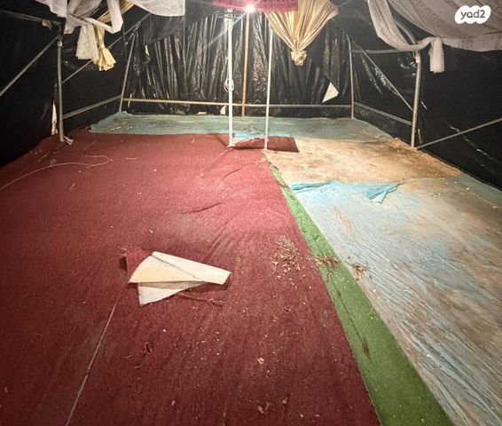 דוד שמעוני 25