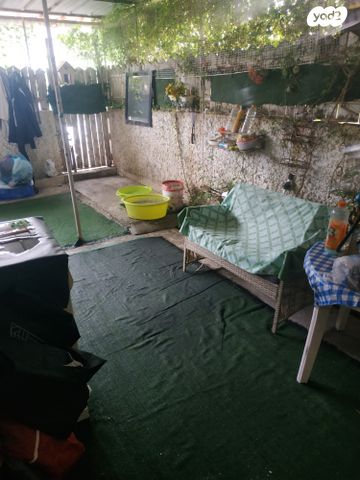 ז'בוטינסקי 6