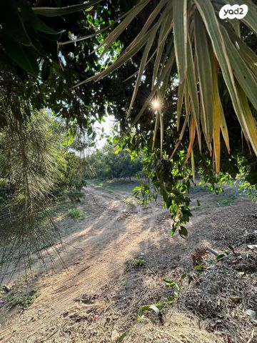 דירה, ד"ר מאיר אבנר 32, נווה איתמר, נתניה