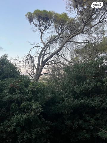 דירה, משמר הגבול 12, רוממה, חיפה