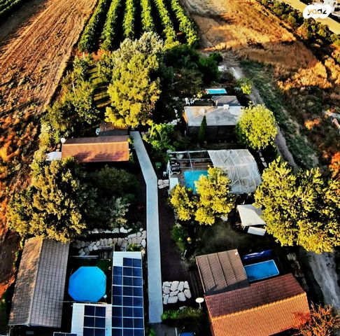 תיירות ונופש, הארז 1, אביטל, אביטל