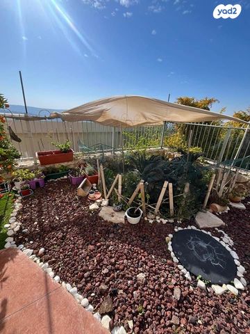 יחידת דיור, הדקל 23, צורית, צורית