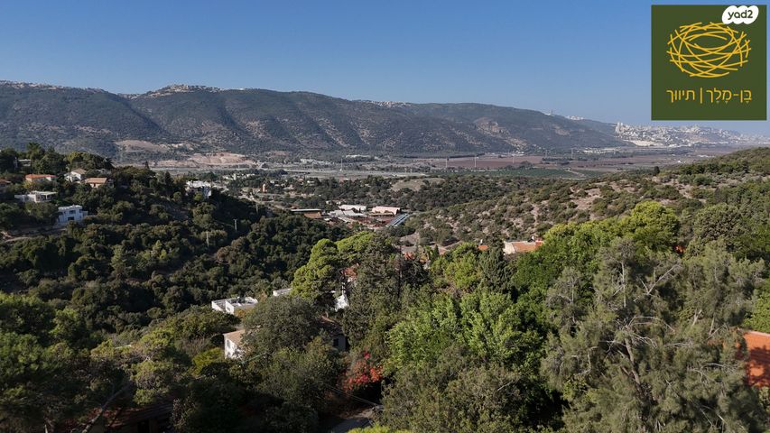 טבעון הוותיקה