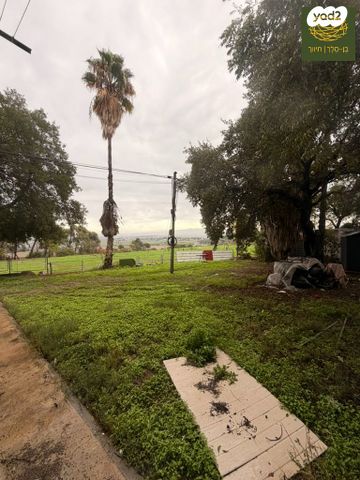 טבעון הוותיקה