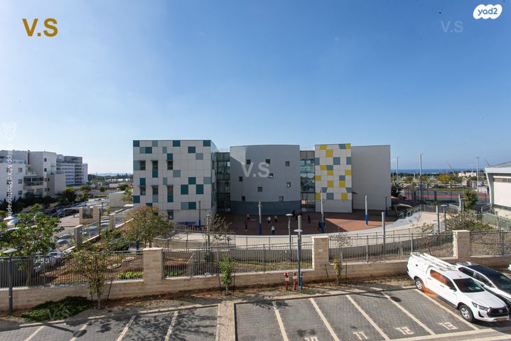 דירה, הגל, החותרים, טירת כרמל