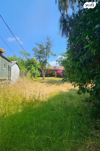 שדרות בן צבי 