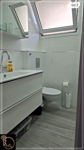 דירת גן, האלמוג, נופי סלע, מעלה אדומים