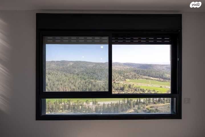 גג/ פנטהאוז, רועי קליין, בית שמש