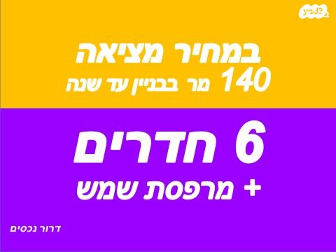 דוד צבי פנקס 6