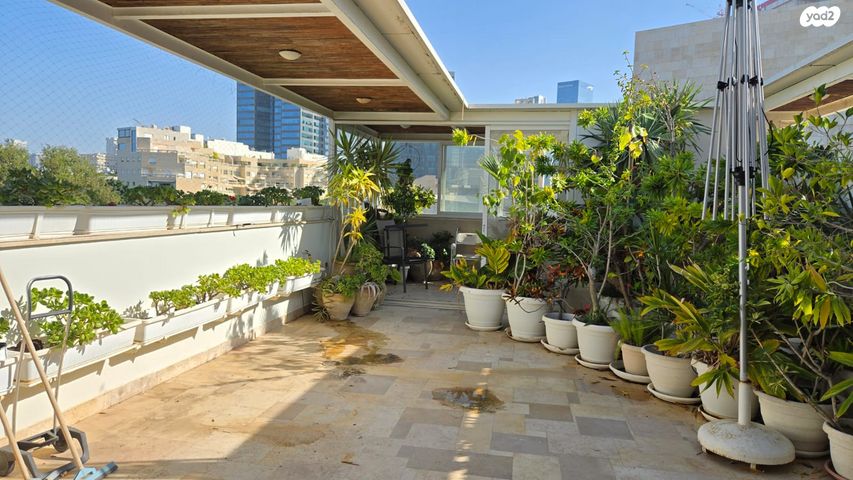 ליאונרדו דה וינצ'י 