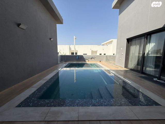 טובה סנהדראי 