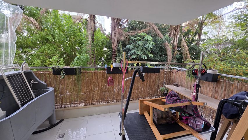 דירה, תל אביב, מרכז מערבי, נס ציונה