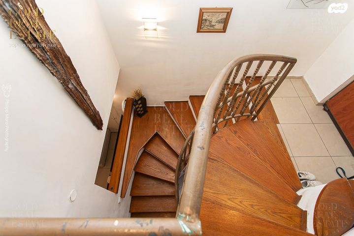 דירת גן, נורית, ורדיה, חיפה