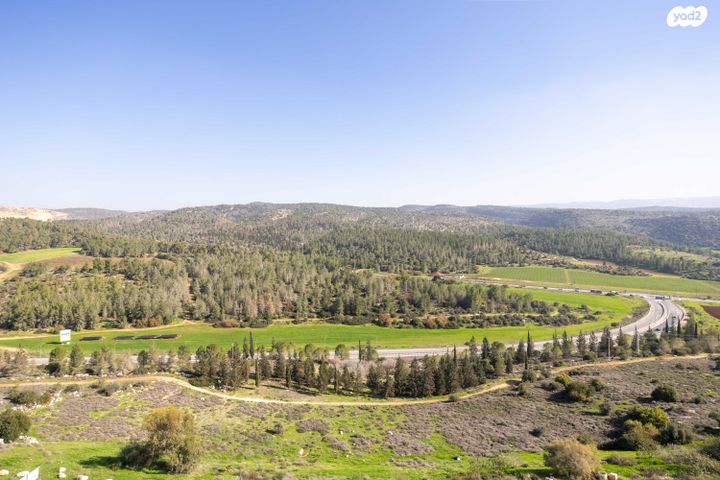 גג/ פנטהאוז, רועי קליין, בית שמש