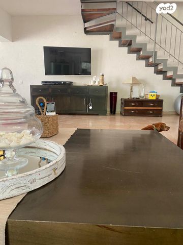 הרצליה הצעירה