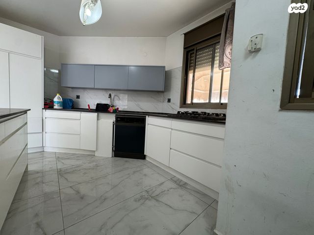 דופלקס, אהוד מנור, קרית האמנים, מצליח, רמלה