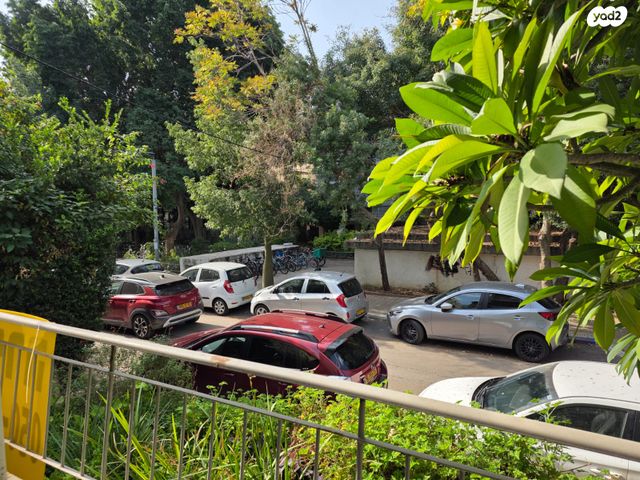 שדרות מוצקין 