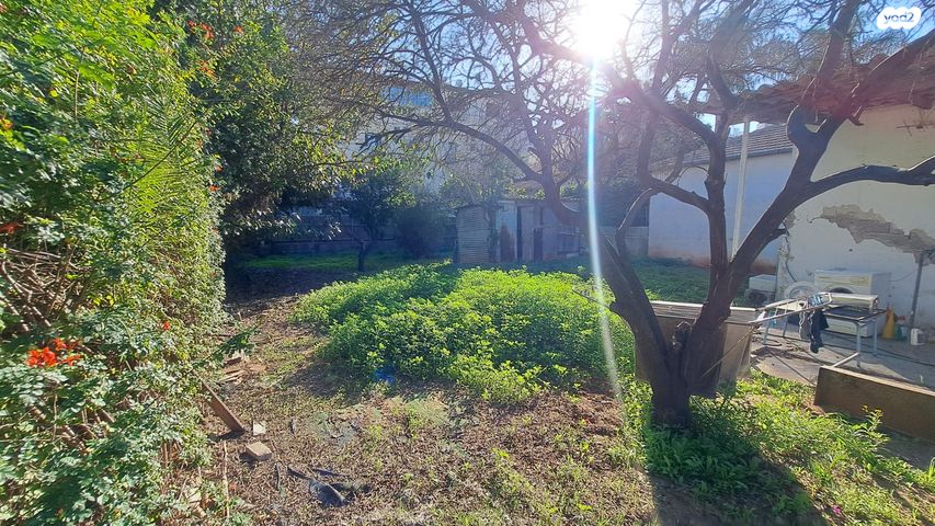 מגרשים, ראשונים, ראשון לציון