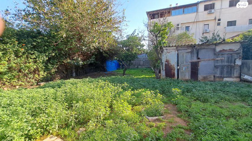 מגרשים, ראשונים, ראשון לציון