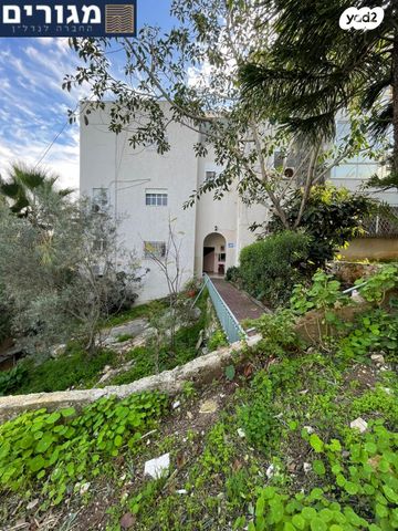 דירה, הס, חיפה