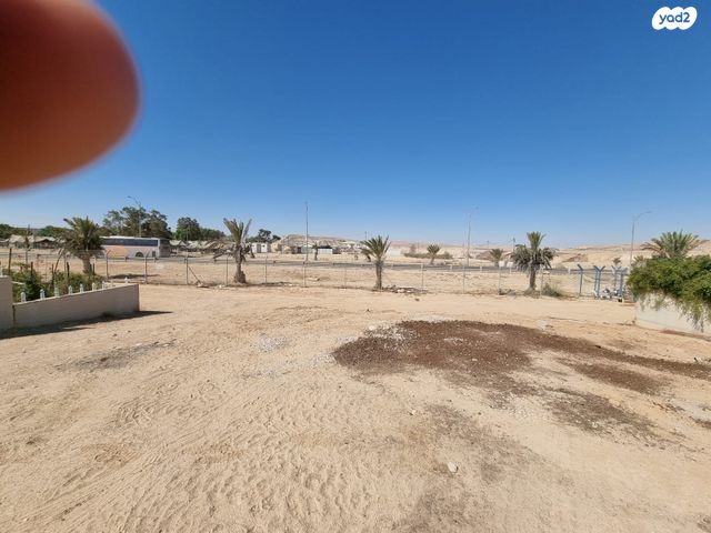 מגרשים, מדרשת בן גוריון