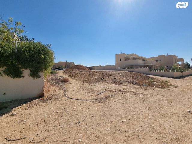 מגרשים, מדרשת בן גוריון