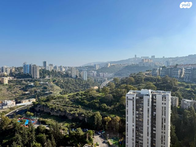 דירה, ליאון בלום, רמת הדר, חיפה