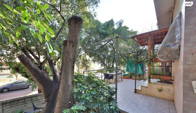 דירת גן, הדר מרכז, חיפה