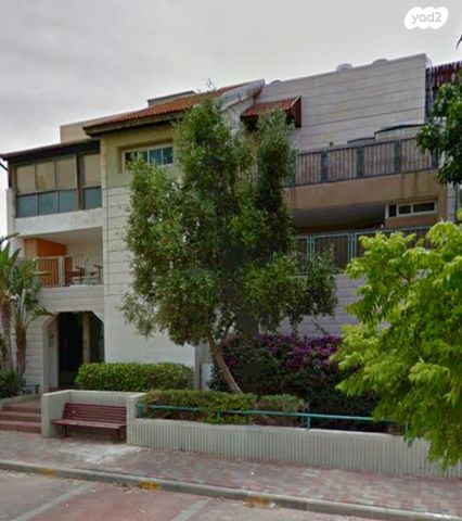 אירוס הארגמן 